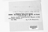 Image Associated With the Occurence
